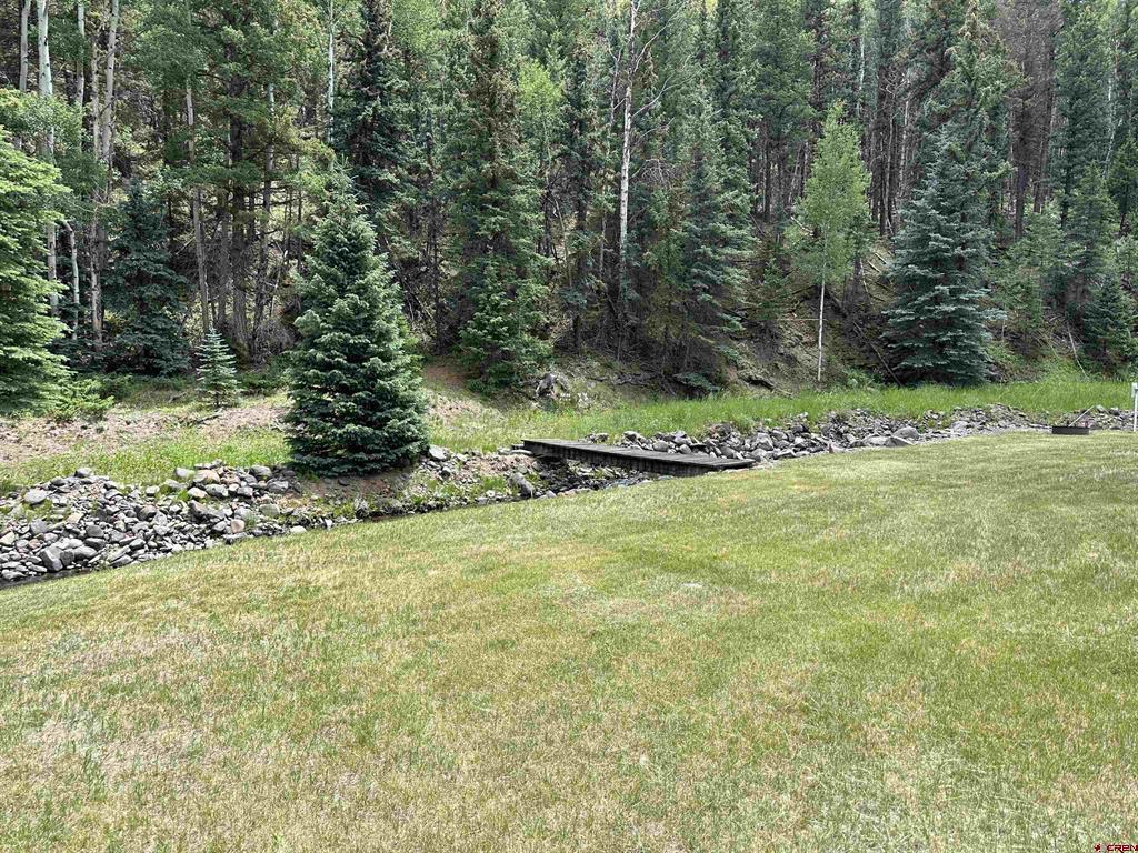 12350 Castle Rock Road Del Norte CO 81132