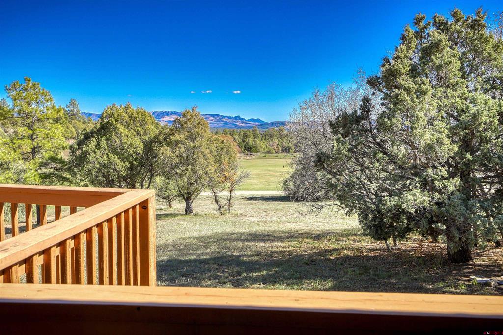 2516 Meadows Drive Pagosa Springs CO 81147