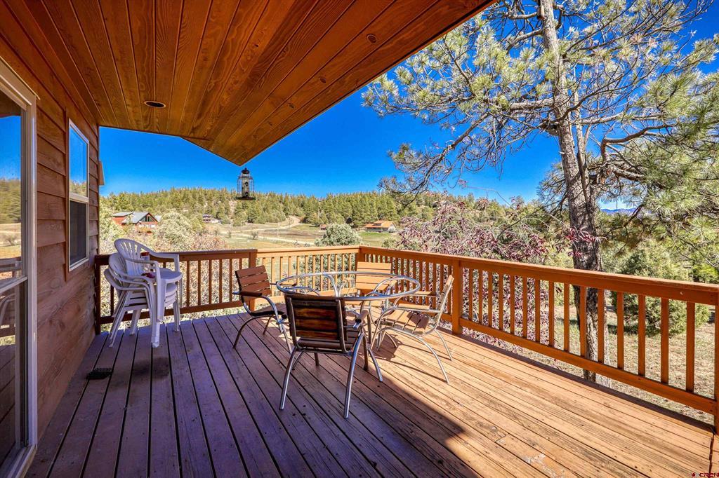 2516 Meadows Drive Pagosa Springs CO 81147