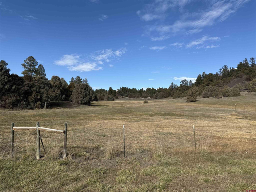 2516 Meadows Drive Pagosa Springs CO 81147