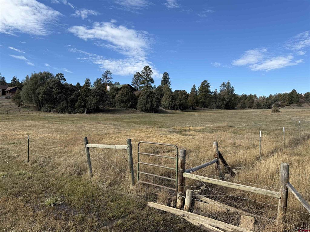 2516 Meadows Drive Pagosa Springs CO 81147