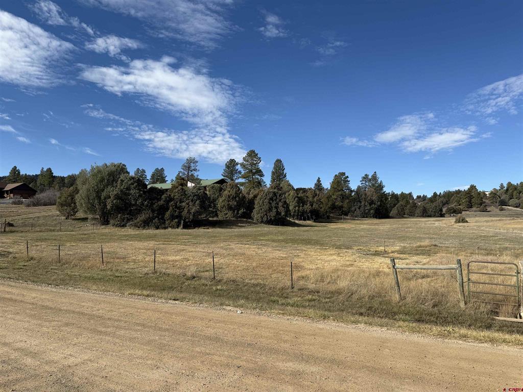 2516 Meadows Drive Pagosa Springs CO 81147