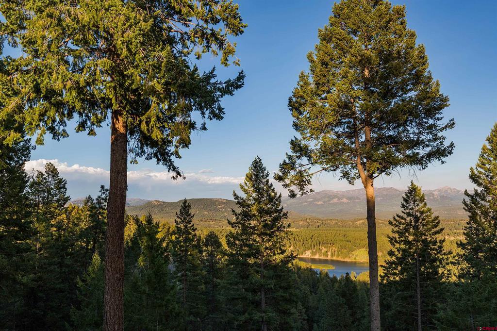 1000 Piney Place Pagosa Springs CO 81147