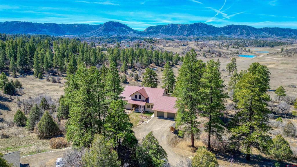 457 E Arbol Park Drive Pagosa Springs CO 81147