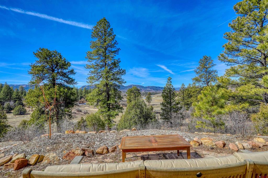 457 E Arbol Park Drive Pagosa Springs CO 81147