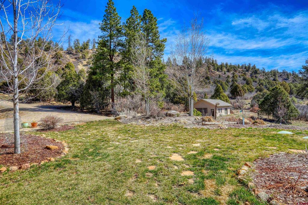 457 E Arbol Park Drive Pagosa Springs CO 81147