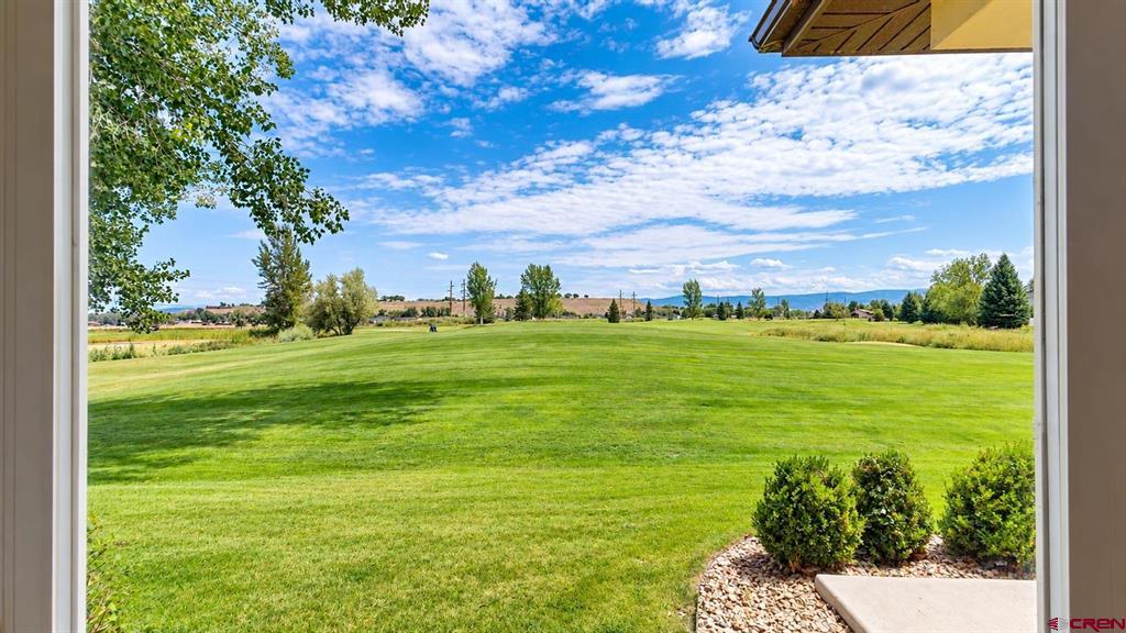 3717 Mount Hayden Court Montrose CO 81403