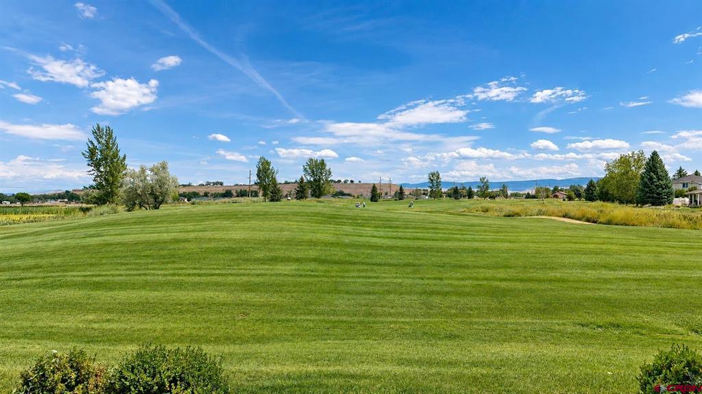 3717 Mount Hayden Court Montrose CO 81403
