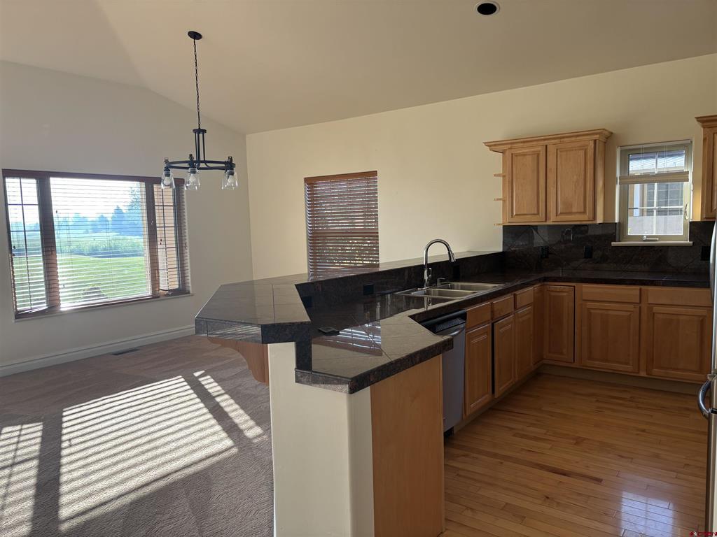3717 Mount Hayden Court Montrose CO 81403