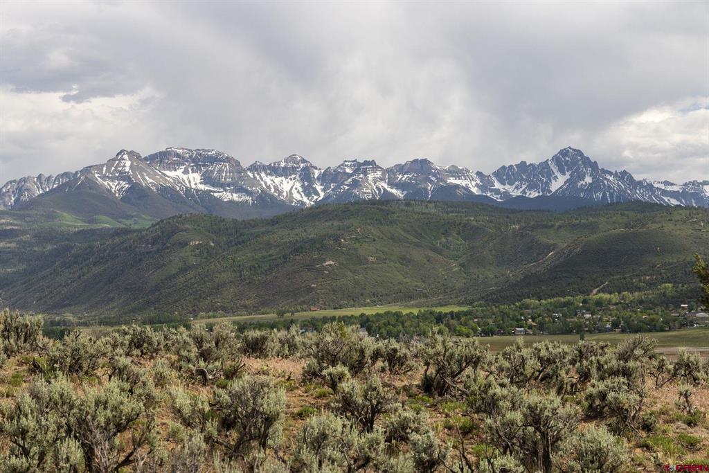 800 Golden Eagle Trail Ridgway CO 81432