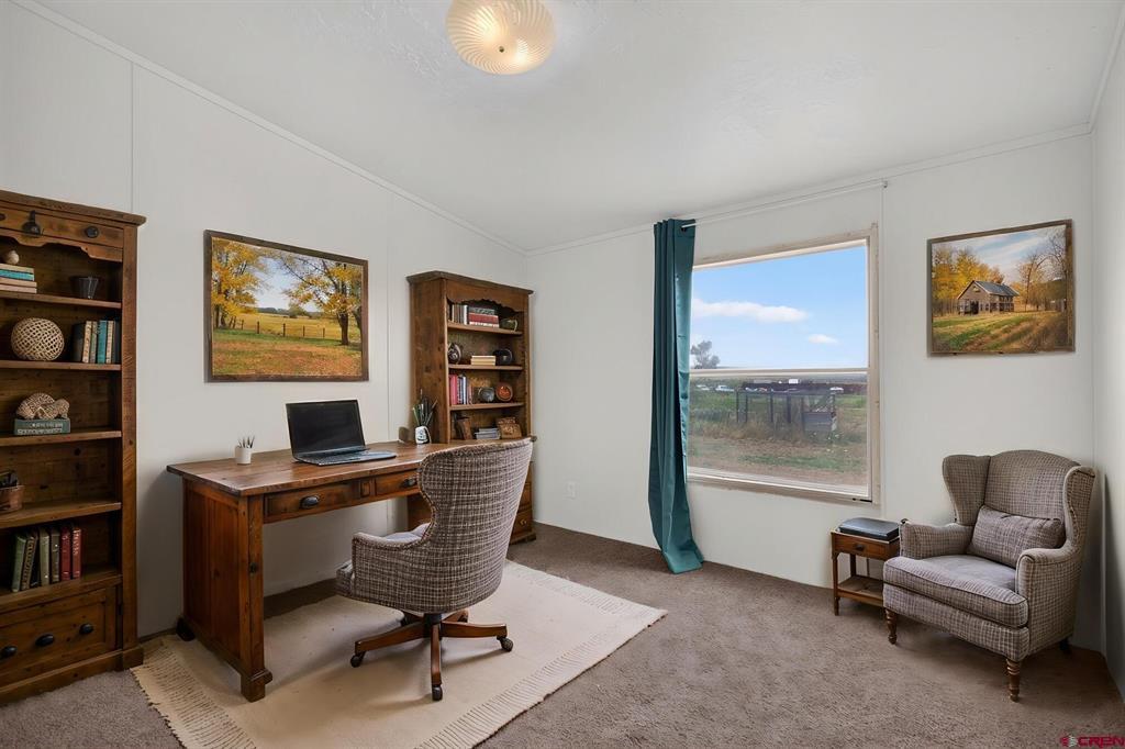 68990 Dales Road Montrose CO 81401