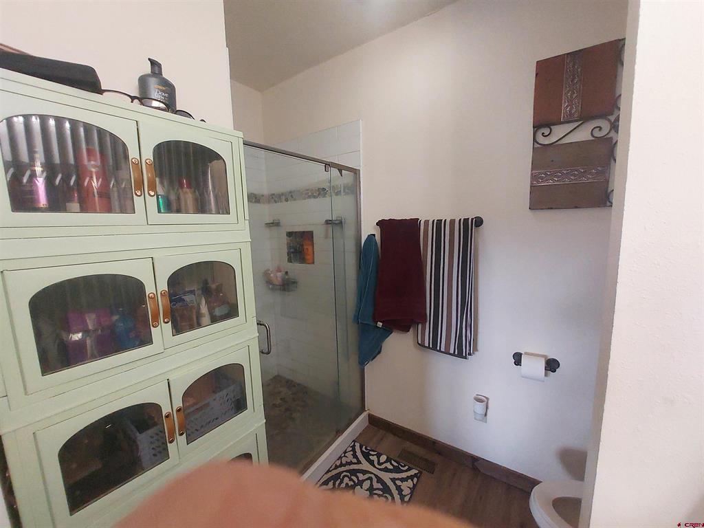 42 Browns Road South Fork CO 81154