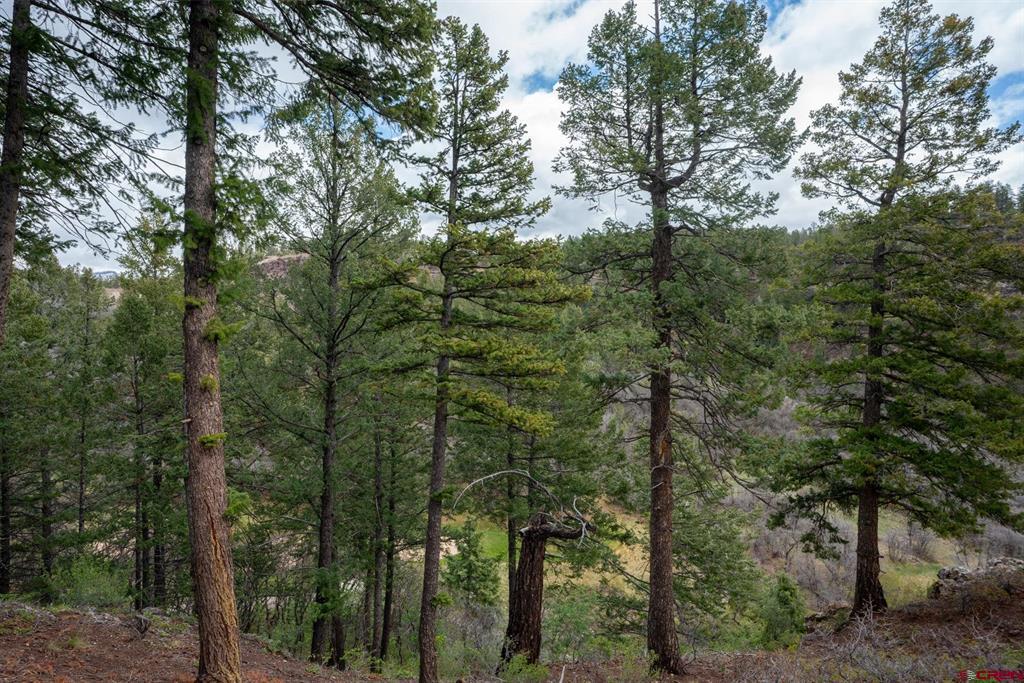 961 N Tamarron Drive Durango CO 81301