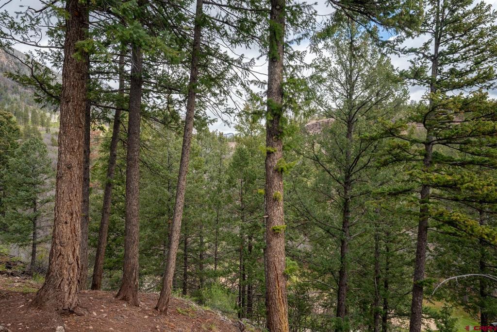961 N Tamarron Drive Durango CO 81301