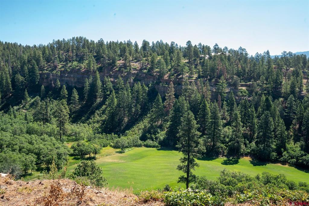 961 N Tamarron Drive Durango CO 81301