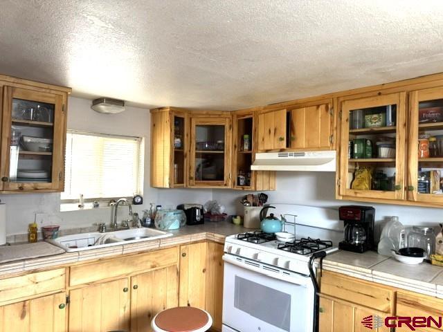 612 S Ash Street Cortez CO 81321