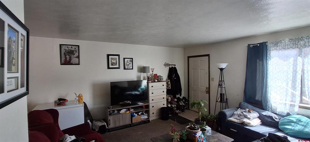 304 N 9th Street Gunnison CO 81230