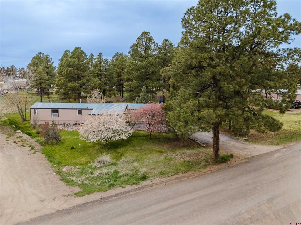 224 Fireside Street Pagosa Springs CO 81147
