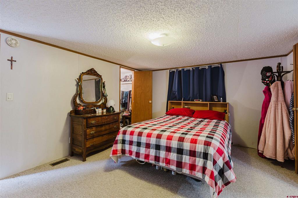 224 Fireside Street Pagosa Springs CO 81147