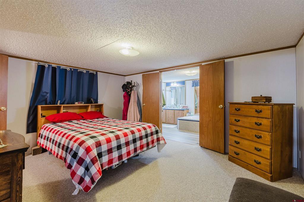 224 Fireside Street Pagosa Springs CO 81147