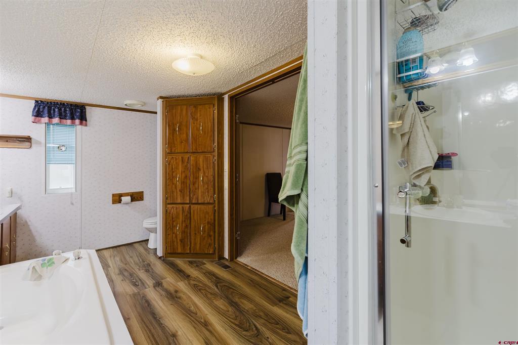 224 Fireside Street Pagosa Springs CO 81147