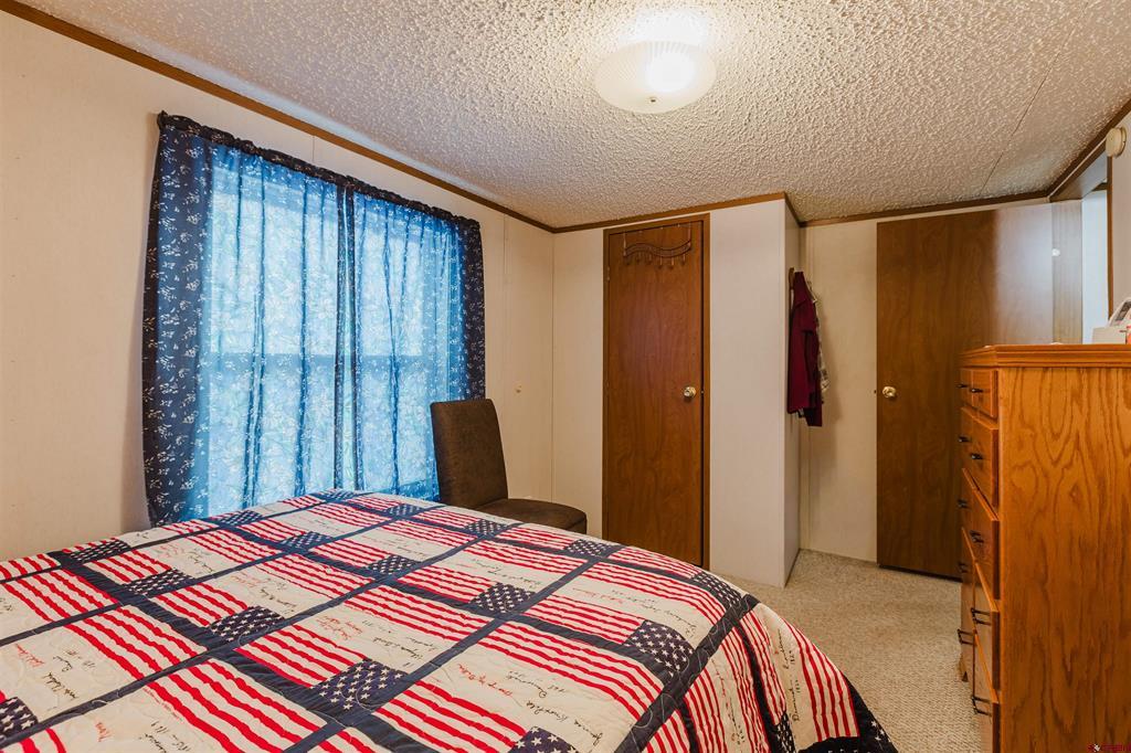 224 Fireside Street Pagosa Springs CO 81147