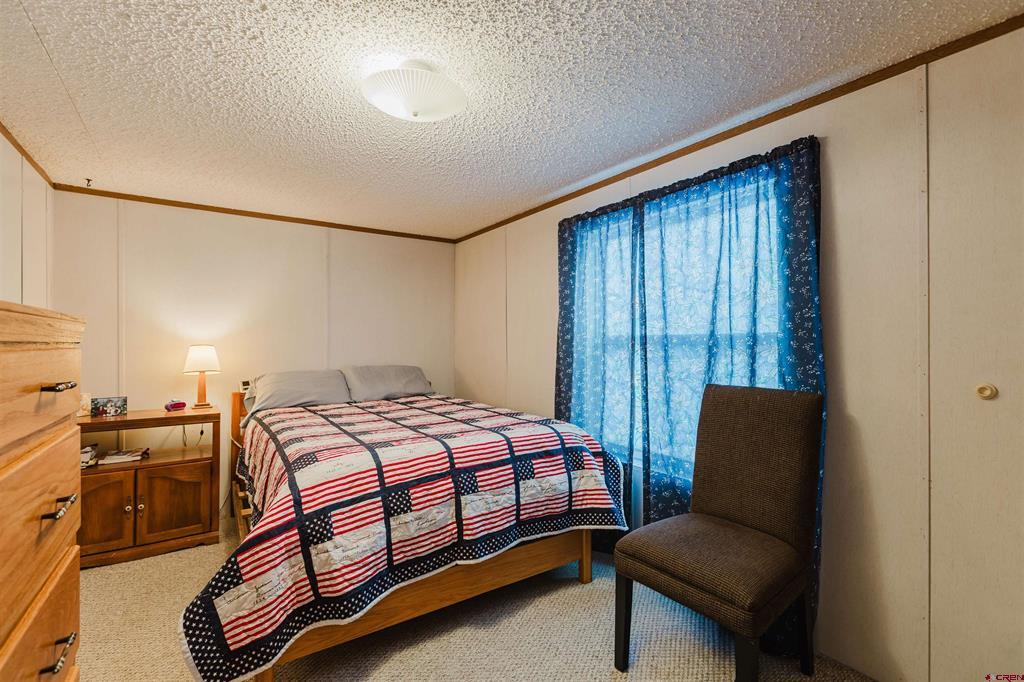 224 Fireside Street Pagosa Springs CO 81147