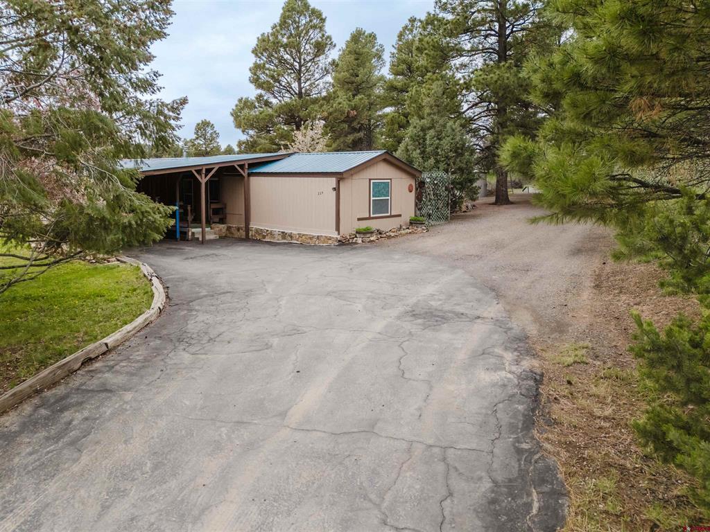 224 Fireside Street Pagosa Springs CO 81147
