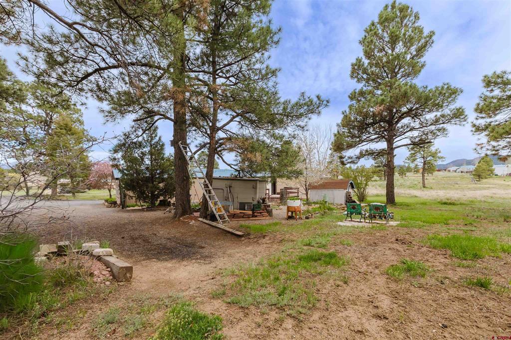 224 Fireside Street Pagosa Springs CO 81147