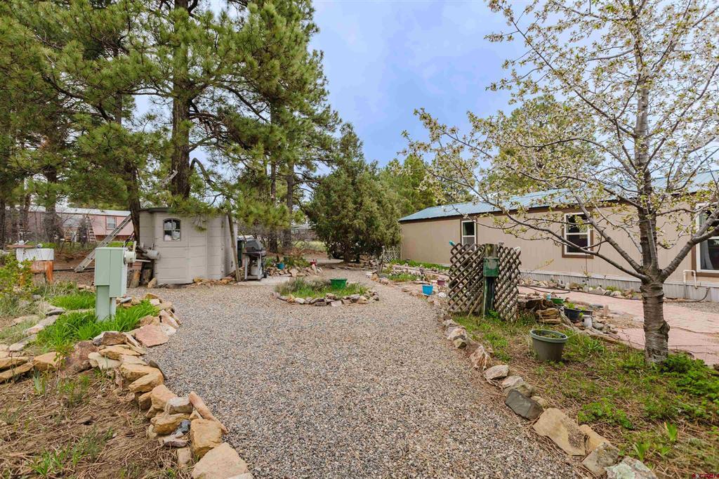 224 Fireside Street Pagosa Springs CO 81147