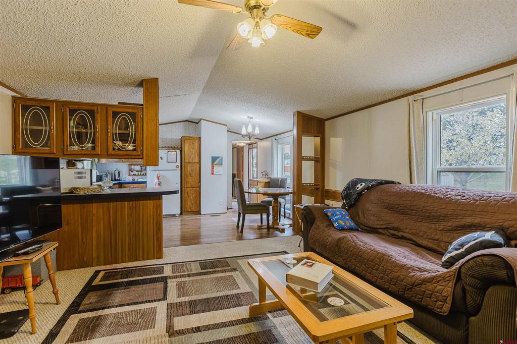 224 Fireside Street Pagosa Springs CO 81147