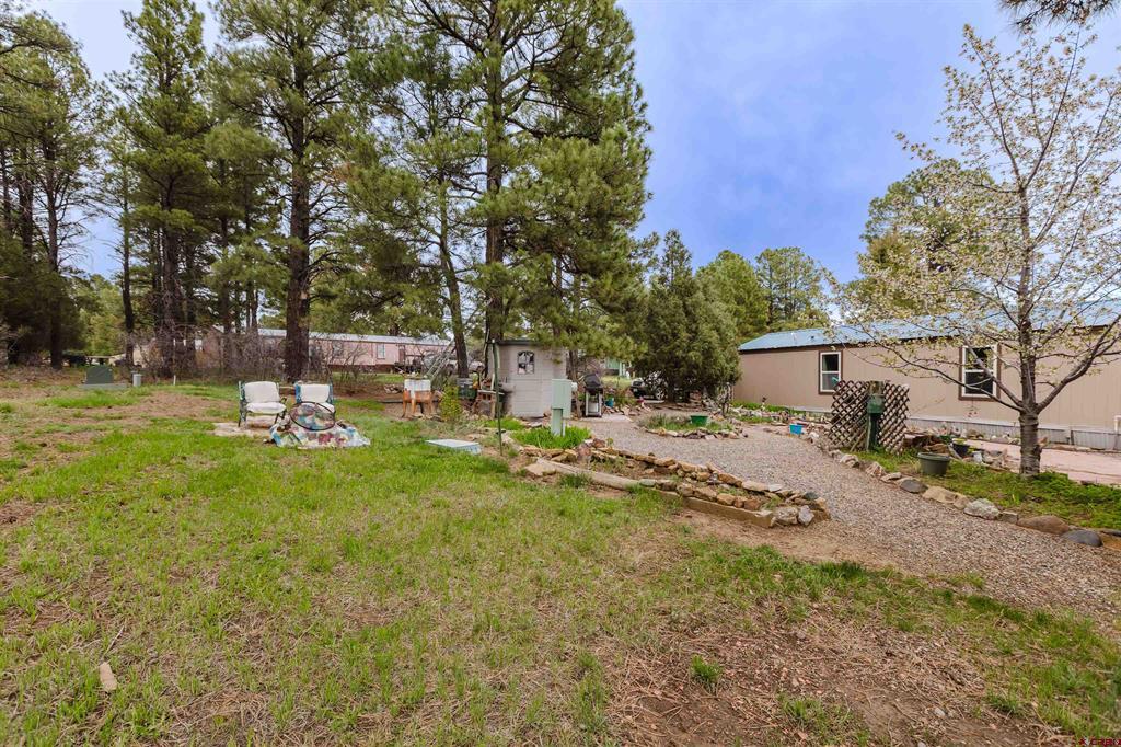 224 Fireside Street Pagosa Springs CO 81147