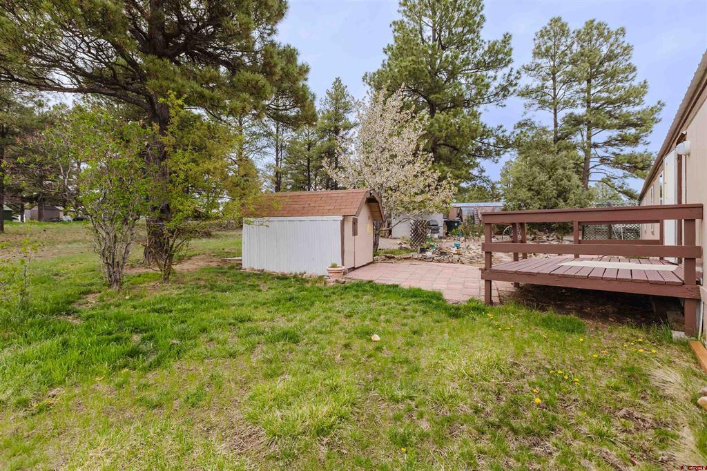 224 Fireside Street Pagosa Springs CO 81147