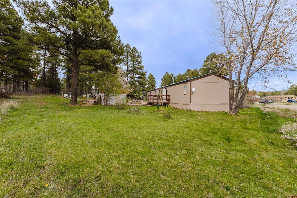 224 Fireside Street Pagosa Springs CO 81147