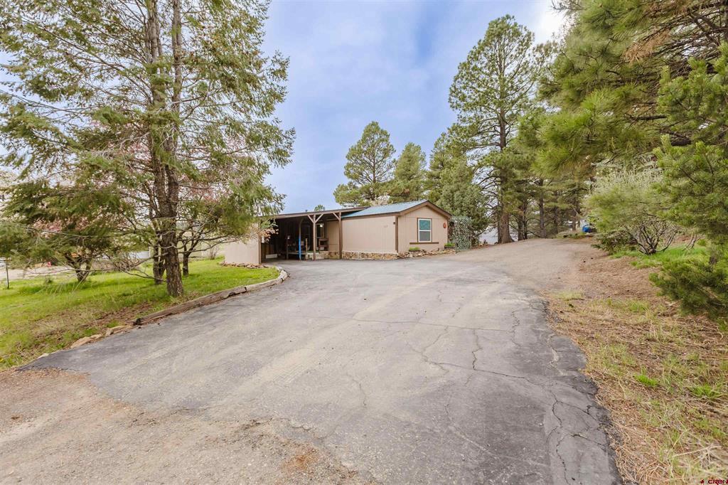 224 Fireside Street Pagosa Springs CO 81147