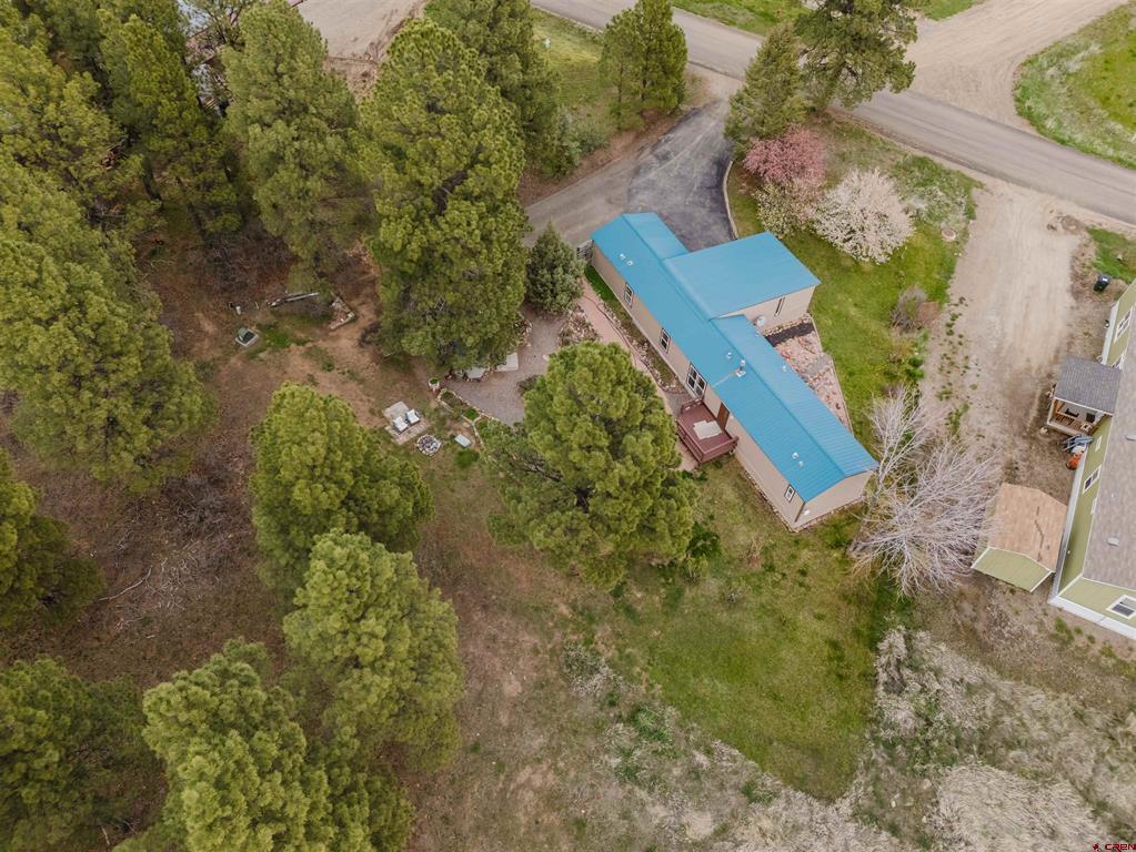 224 Fireside Street Pagosa Springs CO 81147