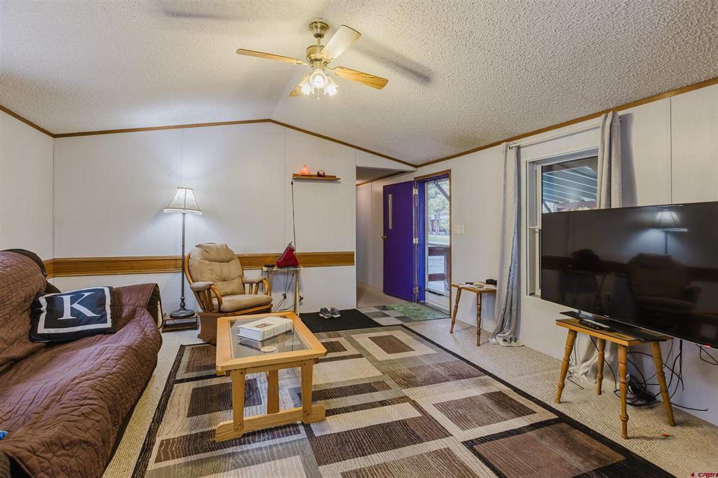 224 Fireside Street Pagosa Springs CO 81147