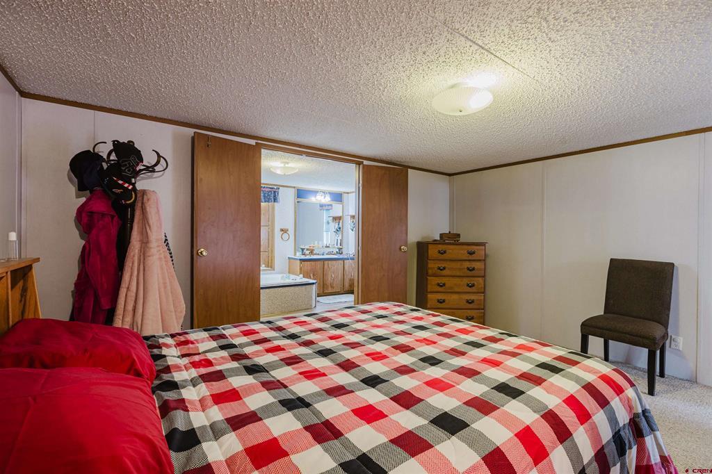 224 Fireside Street Pagosa Springs CO 81147