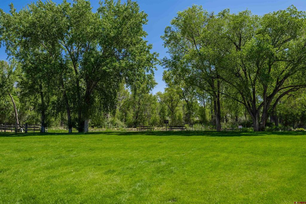 63152 Lavender Circle Montrose CO 81403