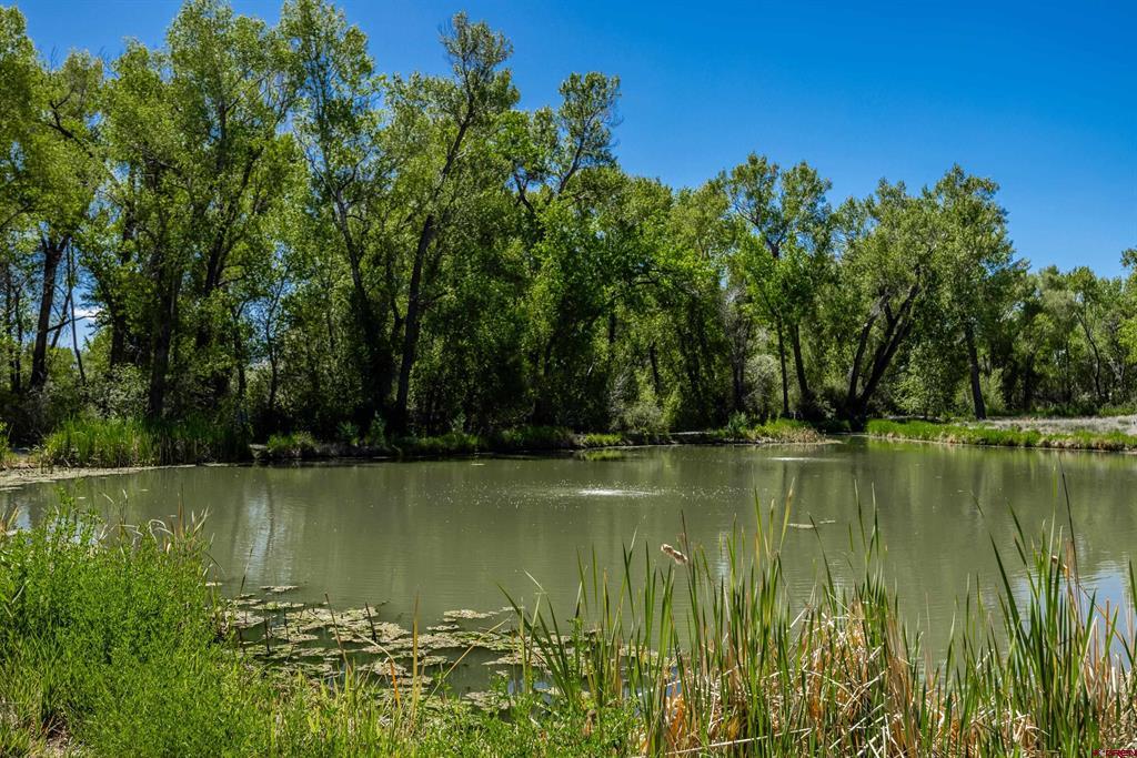63152 Lavender Circle Montrose CO 81403