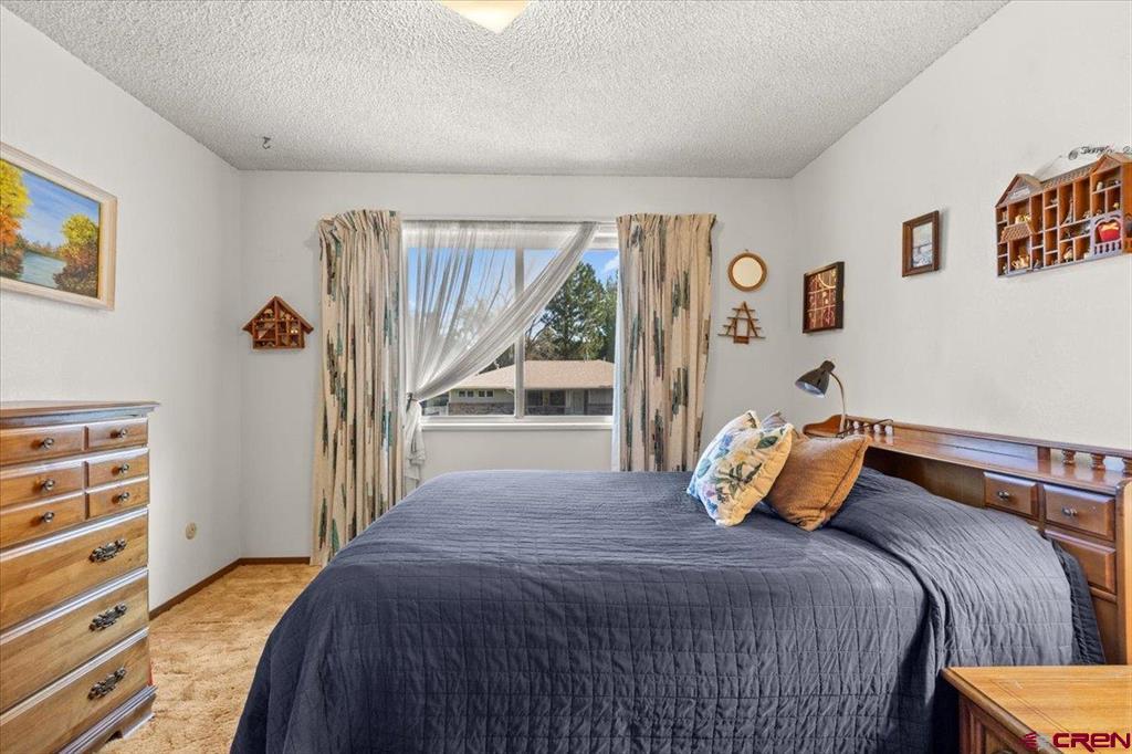 2020 Bradford Drive Montrose CO 81401