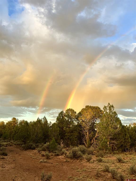 553 Cow Canyon Ignacio CO 81137