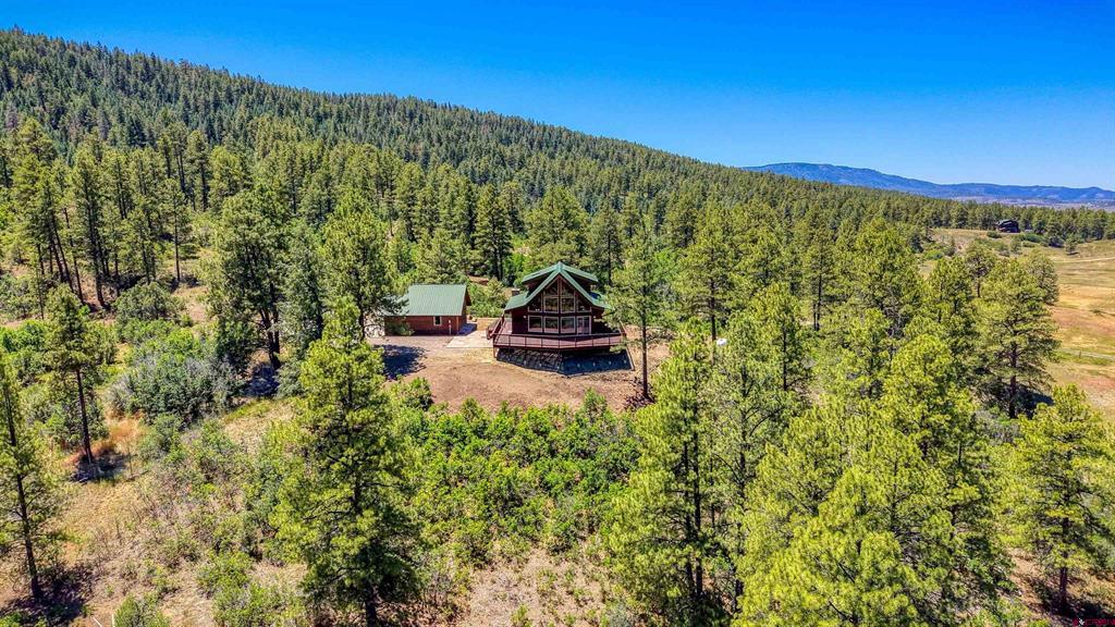 2800 Stallion Place Pagosa Springs CO 81147