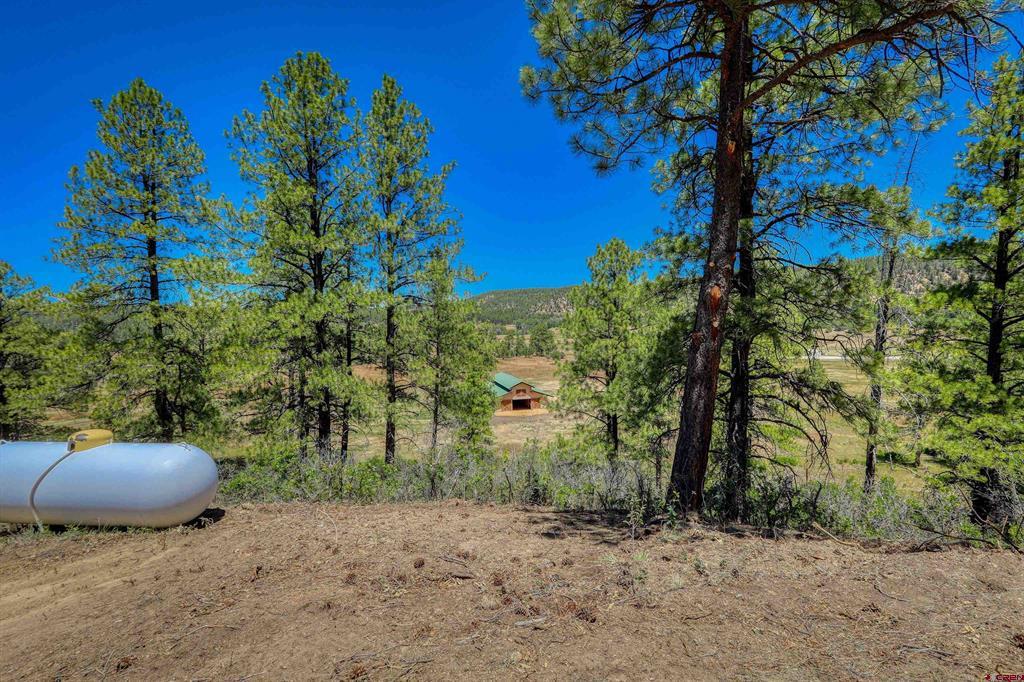 2800 Stallion Place Pagosa Springs CO 81147