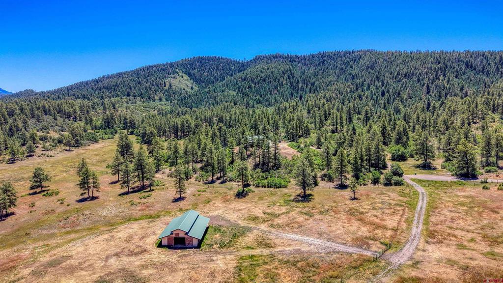 2800 Stallion Place Pagosa Springs CO 81147