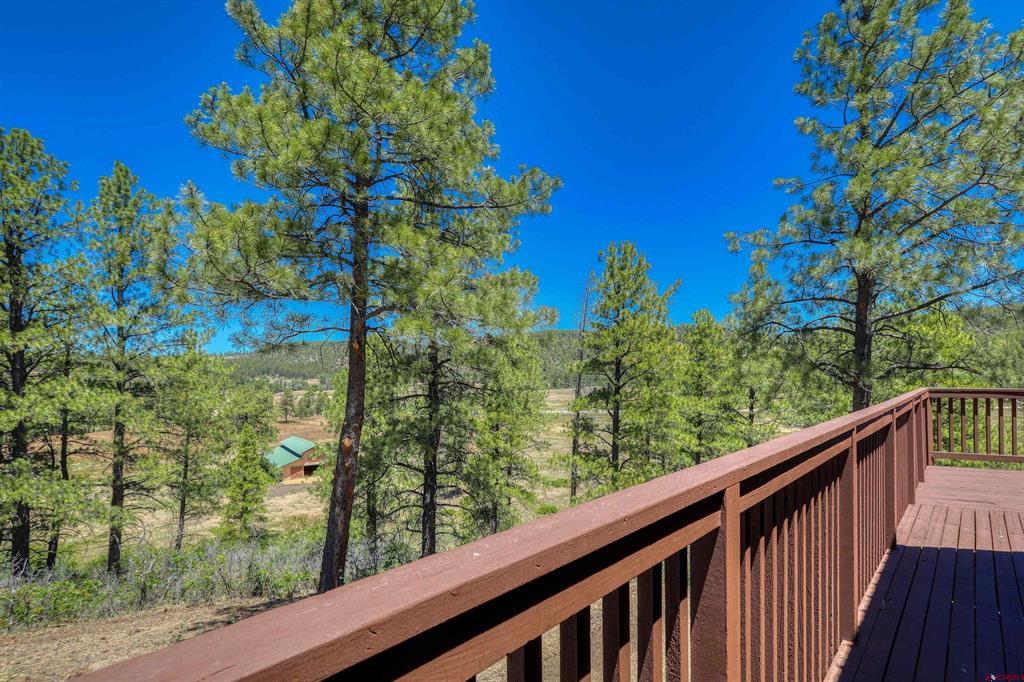 2800 Stallion Place Pagosa Springs CO 81147