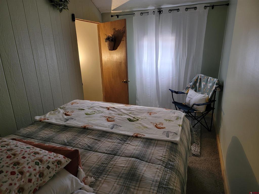 106 Caballo Place Pagosa Springs CO 81147