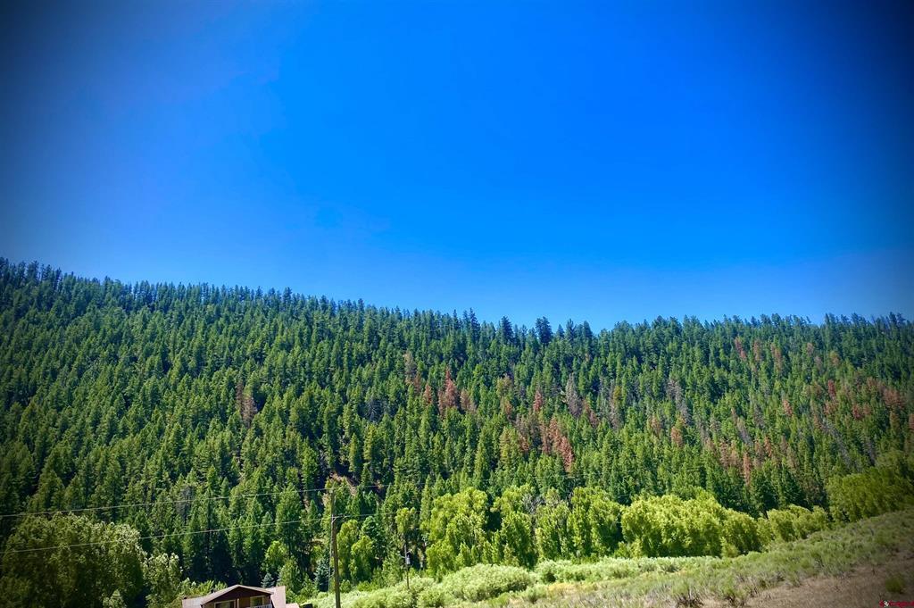 106 Caballo Place Pagosa Springs CO 81147