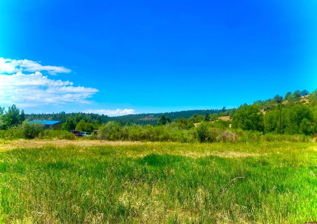 106 Caballo Place Pagosa Springs CO 81147