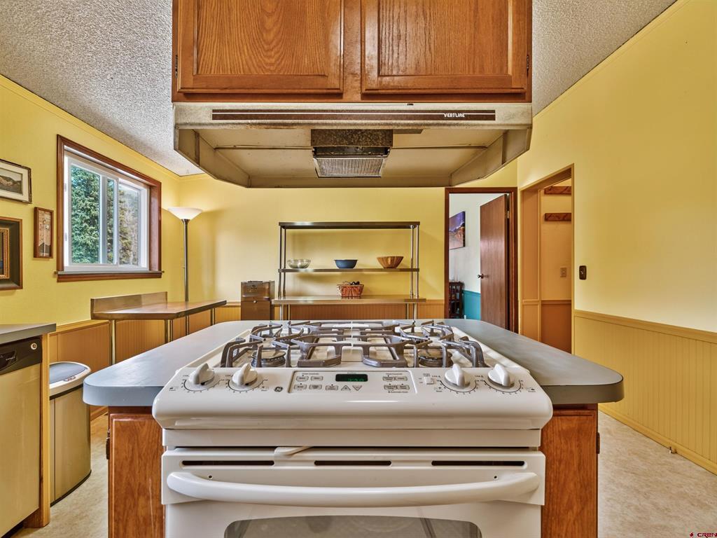 1029 W Vallecito Creek Road Bayfield CO 81122